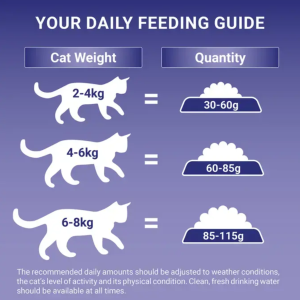 Purina One Cat 800g - Chicken