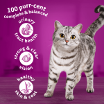 Whiskas Adult with Lamb 800g