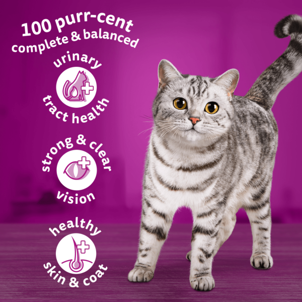 Whiskas Adult with Lamb 800g