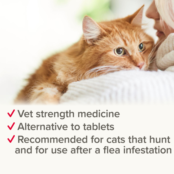 Beaphar Wormclear Spot on for Cats (2 Pipettes)