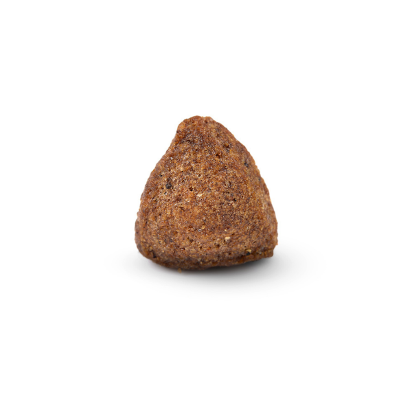 Arden Grange Adult 12kg - Pork