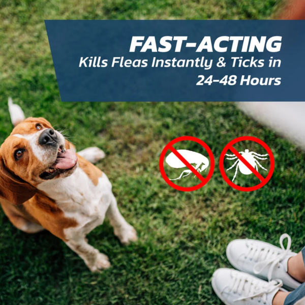 FleaSolve Spot-on Solution for Medium Dogs 10-20kg