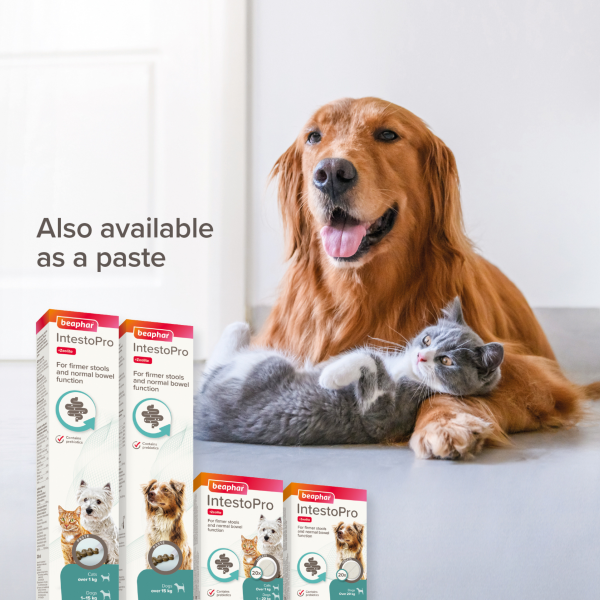 Beaphar IntestoPro - Cats & Small Dogs (1-20kg)
