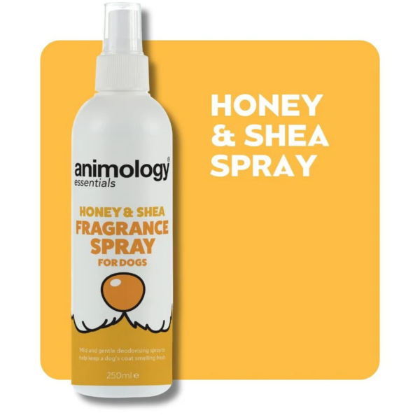 Animology Essentials Dog Spray 250ml - Honey & Shea