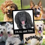 Bugalugs - Flea and Tick Dog Shampoo 250ml