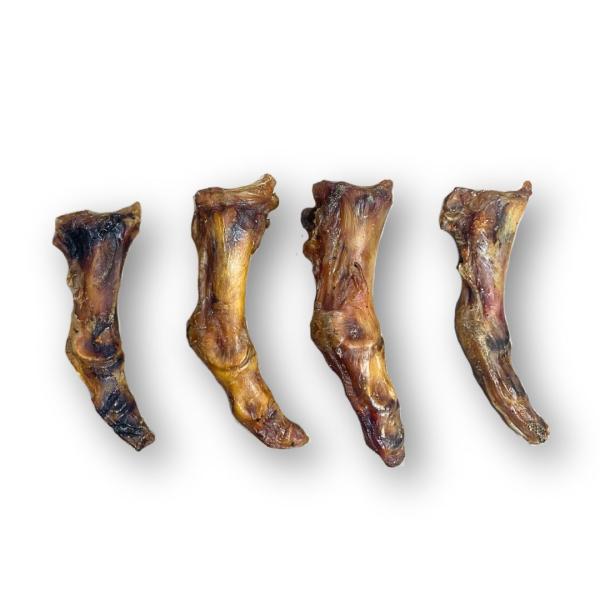 Ostrich Foot - Small
