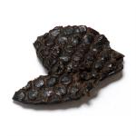 Ostrich Liver 50g
